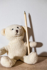 little white teddy bear holding a pencil