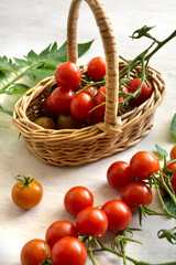 cherry tomatoes in basket and on table on light background. 