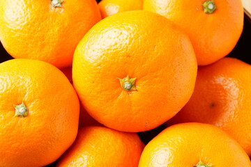 有田みかん　果物