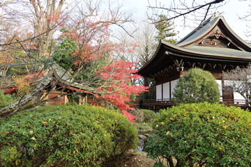 Fototapeta premium Hon-do Main Hall and Benzaiten-sha Subordinate Shrine and autumn leaves in the precincts of Koryu-ji Temple at Uzumasa in Kyoto City in Japan 日本の京都市太秦にある広隆寺境内本堂と弁財天社と紅葉