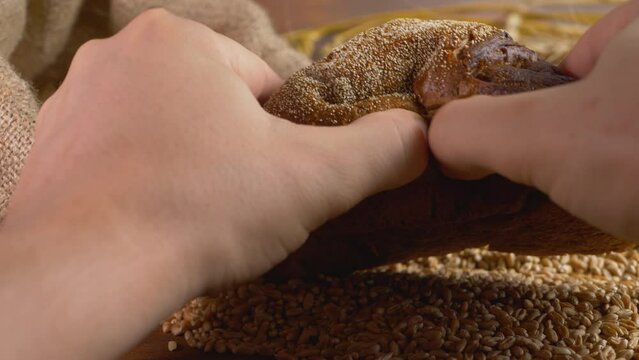Unrecognizable person take rye dark bread made with flour from grain. Ripe wheat. Heap of ripe crop grain, rural scene. Agricultural activity, organic farmland. Raw food background. Farmer's hand