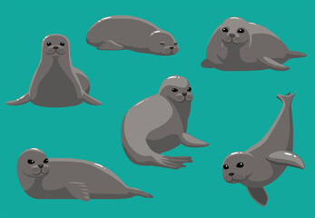 Animal Cartoon Monk Seal Various Poses Vector Illustration