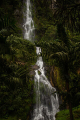Beautiful amazing waterfull, cascad in jungles with green palmes and flowing water in quiet exotic tropical place Santa Rosa de Cobal Colombia. Perfect for travelling