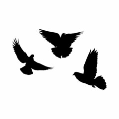 Three Pigeons Silhouette suitable for icons, logos. simple design silhouette set vector eps 10