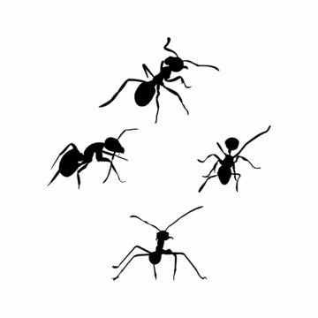 Four Ants Silhouette suitable for icons, logos. simple design silhouette set vector eps 10