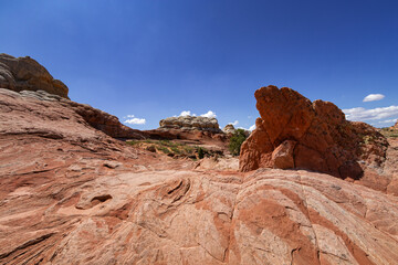 Fototapeta na wymiar Rock Formation in White Pocket, Utah