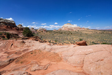 Rock Formation in White Pocket, Utah