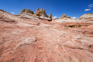 Fototapeta na wymiar Rock Formation in White Pocket, Utah