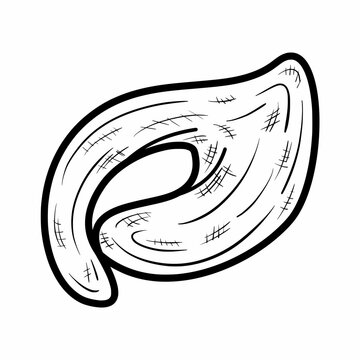 recommend clip art: simple top view of tortellini pasta outline hand drawn doodle illustration vector logo icon