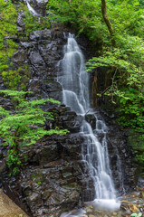 Fototapeta premium 福井県池田町の龍双ヶ滝（日本の滝100選）
