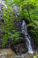 福井県池田町の龍双ヶ滝（日本の滝100選）
