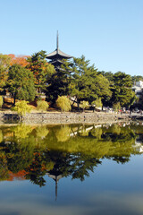 興福寺　猿沢池と五重塔　奈良市