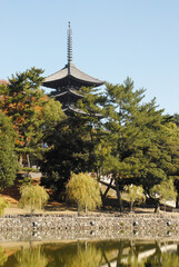 興福寺　五重塔　奈良市