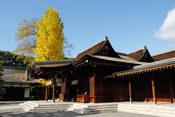 城南宮　前殿と銀杏の木　京都市伏見区
