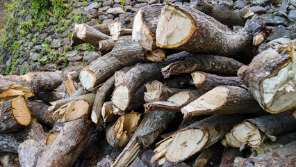Stack of firewood