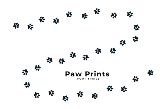 cute puppy or dog paw print trail