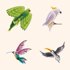 set of watercolor birds