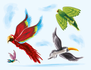 Obraz premium flying exotic birds, watercolor