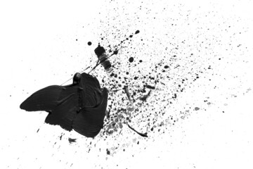 Black brush strokes and paint splashes isolated on white background. Abstract brush strokes texture with blots