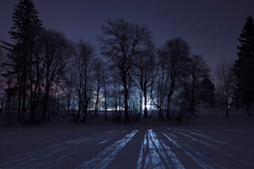 The shore of Lake Ladoga on a February night. Leningrad region. Russia