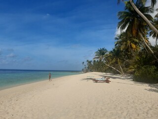 beach with palm trees