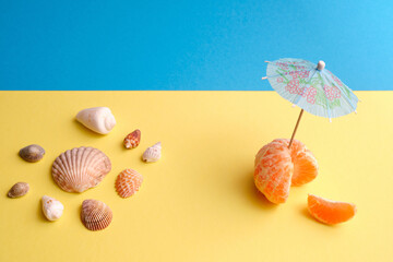seashells lie on sand near the water on the beach, shell on the background of sand, colorful shells lying near blue water, travel to the sea and vacation concept. space for text