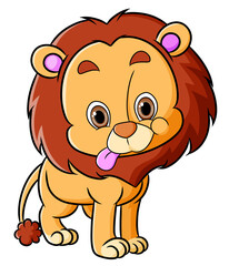 The lion is posing cutely with the tongue out