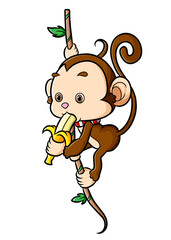 The little monkey is hanging on the tree and eating banana