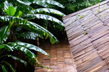 Selective focus bamboo roof Bamboo house in the forest in Thailand. Rainy season. In the forest,...