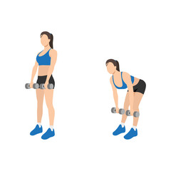 Woman doing Romanian deadlift exercise. Flat vector illustration isolated on white background