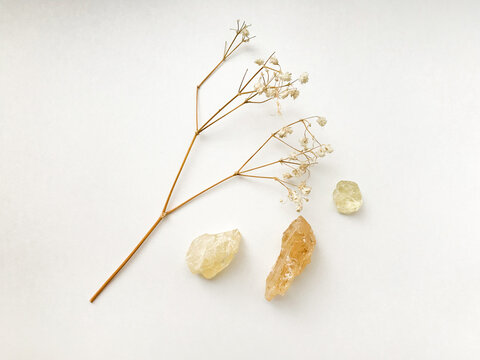 Set of natural resins and twigs of dried flowers , frankincense close-up on a white background