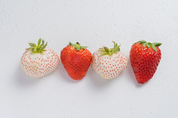 並んだ赤色と白色のいちご
