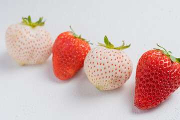 並んだ赤色と白色のいちご