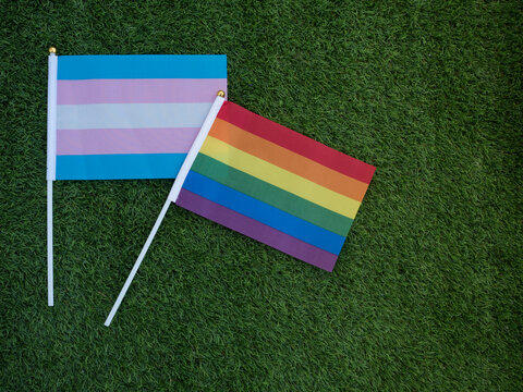 rainbow flag on the grass