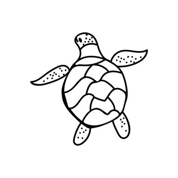 Vector simple illustration with Turtle on white isolated background.Ocean,Summer underwater animal hand drawn in doodle style.Design for postcards,stickers,packages,social media,web,coloring.