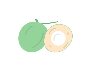 illustration of green coconut and split green coconut. fruit and food. vector design. element, ui, icon, sticker