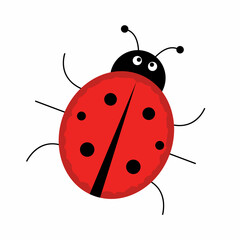 ladybug vector. ladybug on white background. symbol.