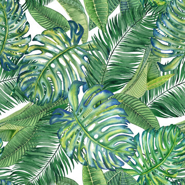 Tropical leaves seamless watercolor pattern. Hand drawn illustration of green plant branches isolated on white background. Jungle ornament. Summer print for clothes and wallpaper. Exotic background.