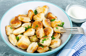 Blue bowl with fried dumplings. Studio Photo