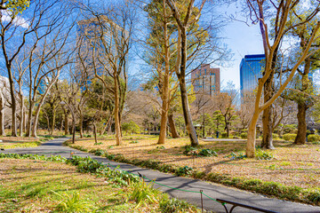 日比谷公園の風景