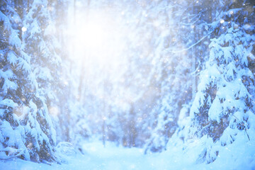 winter background snowfall trees abstract blurred white
