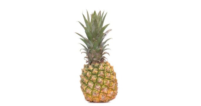 One whole pineapple fruit rotating. Isolated on the white background.