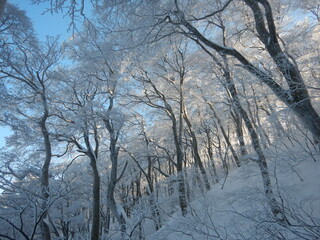 Mt.Daisen