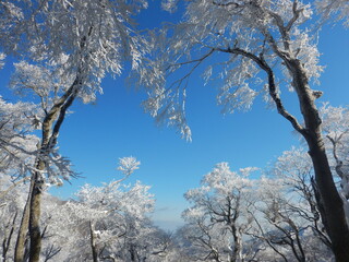 Mt.Daisen