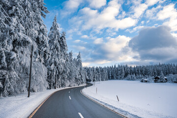 Winter forest with snow in the Bavarian Forest. Harsh winter landscape, beautiful snow-covered fir trees stand on a cold winter day.