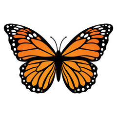 Monarch butterfly. Vector illustration isolated on white background