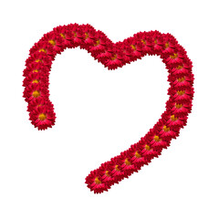 The symbol of the heart. Half of a heart lined with red chrysanthemum flowers isolated on a white background