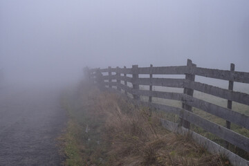 fence in the fog