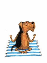 Cute airedale terrier dog doing yoga lotos position