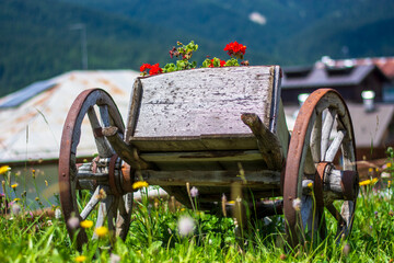 an old cart transformed into a beautiful flower stand in the high mountains